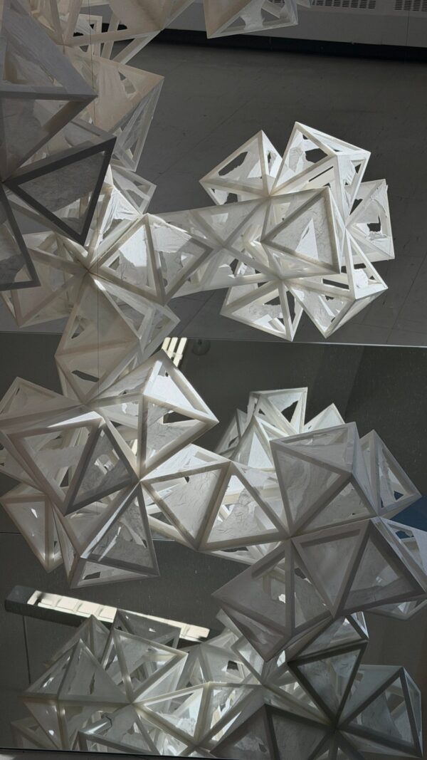  - Image 4 of 7