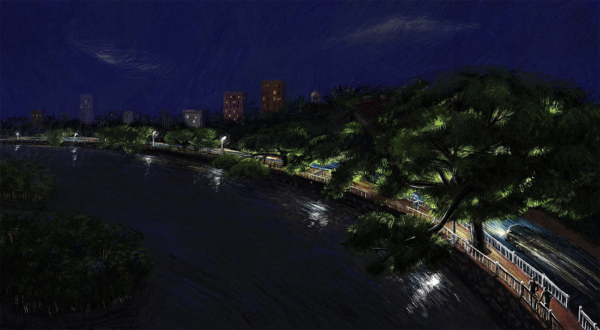 - Image 7 of 8