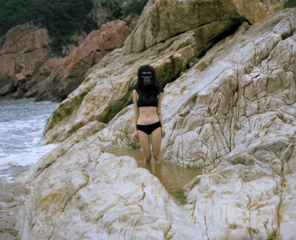  - Image 7 of 8