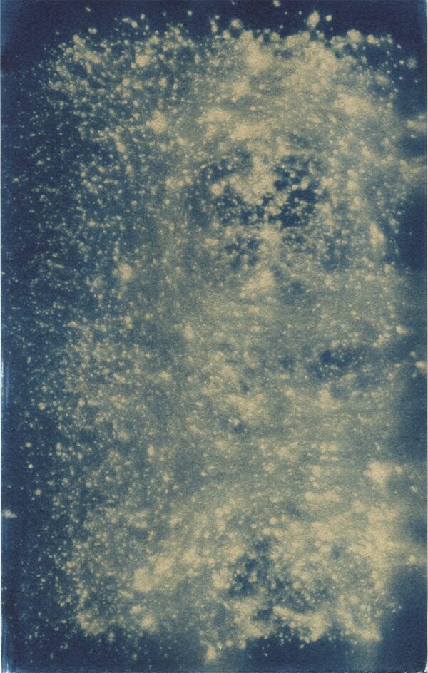  - Image 5 of 8