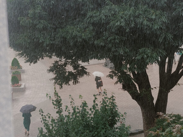  - Image 7 of 8
