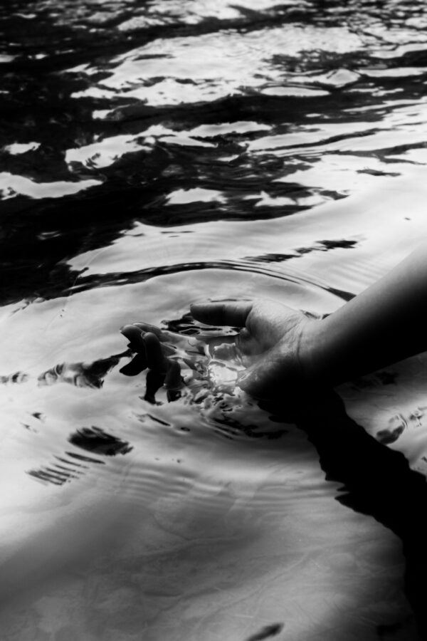  - Image 7 of 8