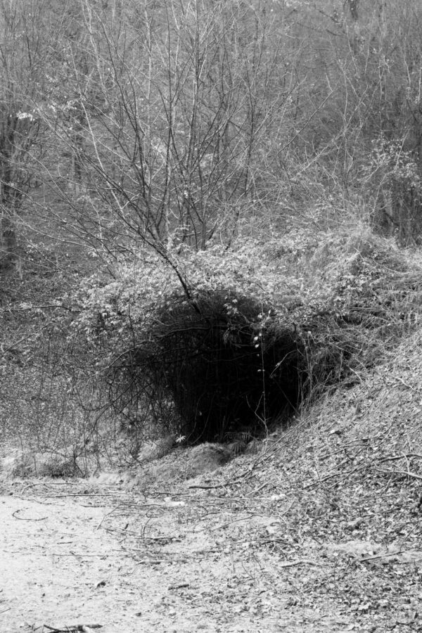  - Image 2 of 8