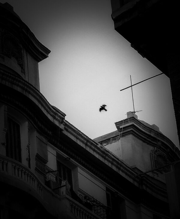 - Image 5 of 8
