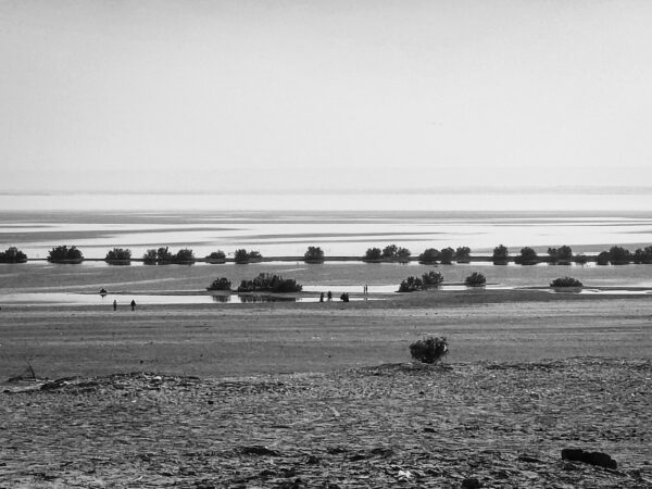  - Image 8 of 8