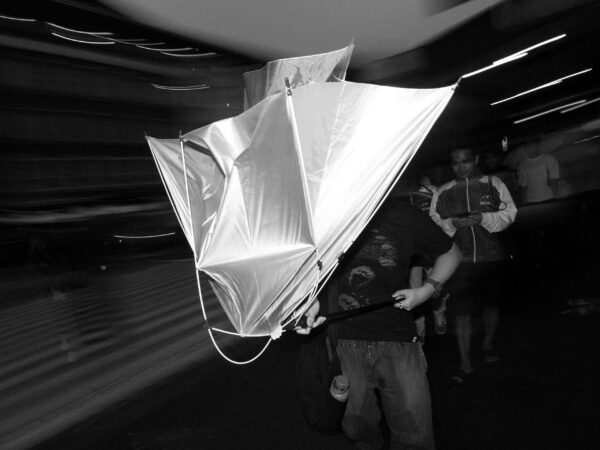  - Image 8 of 8
