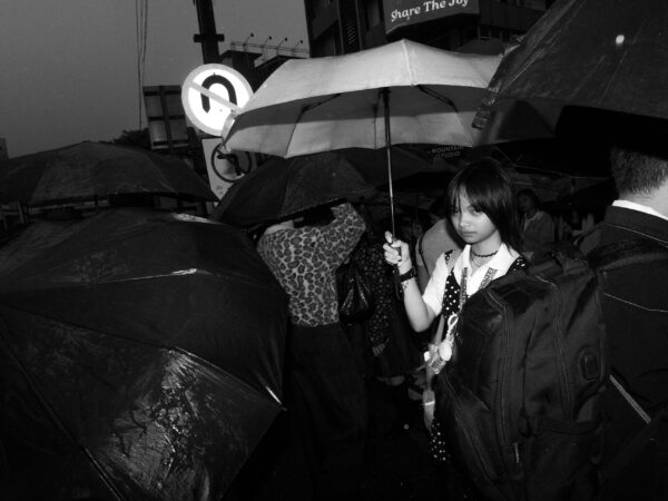  - Image 7 of 8
