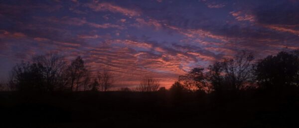  - Image 5 of 7