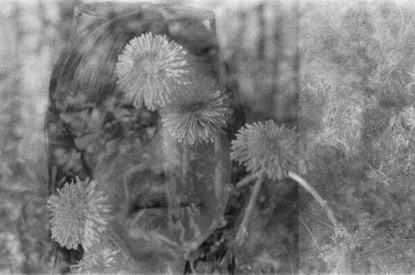  - Image 8 of 8