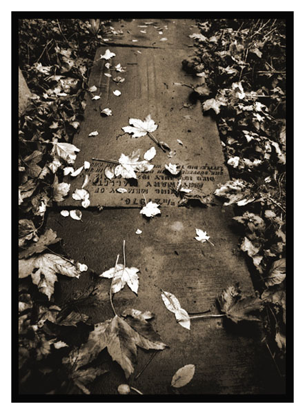  - Image 6 of 7
