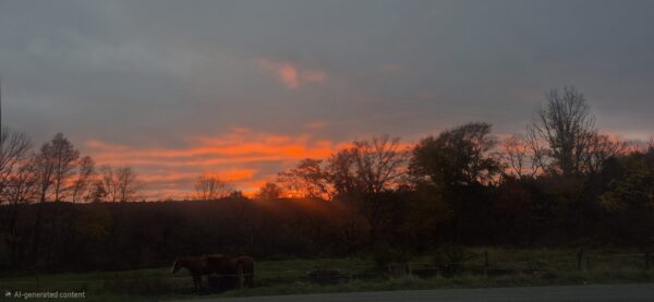  - Image 4 of 7
