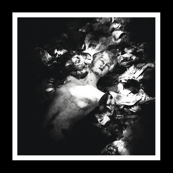  - Image 4 of 7