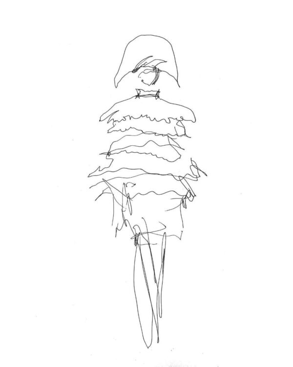  - Image 4 of 6