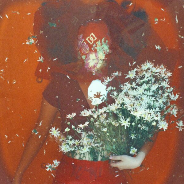  - Image 6 of 8