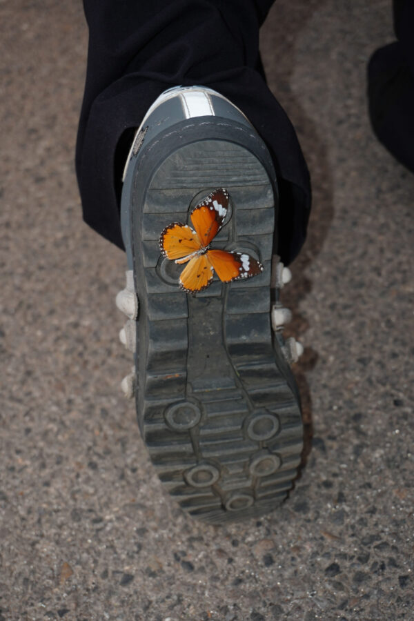  - Image 2 of 8