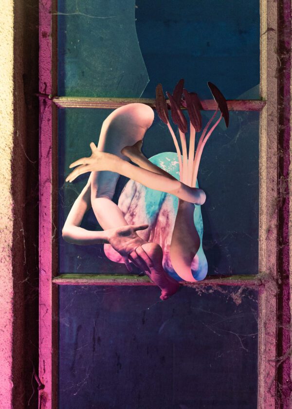  - Image 2 of 7