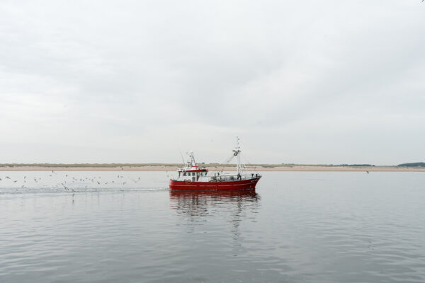  - Image 2 of 8
