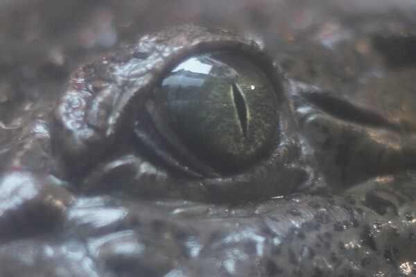  - Image 7 of 7
