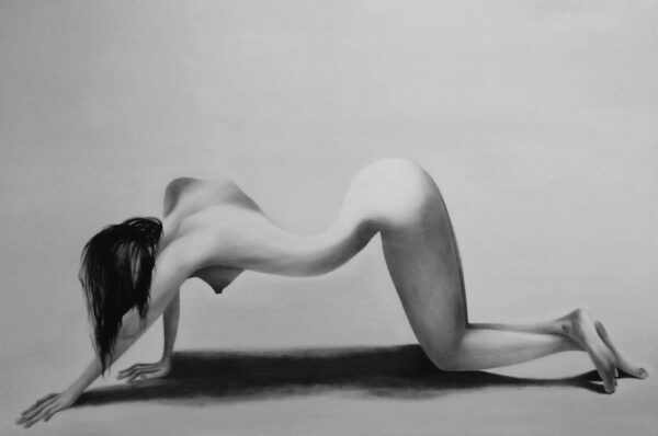  - Image 5 of 8
