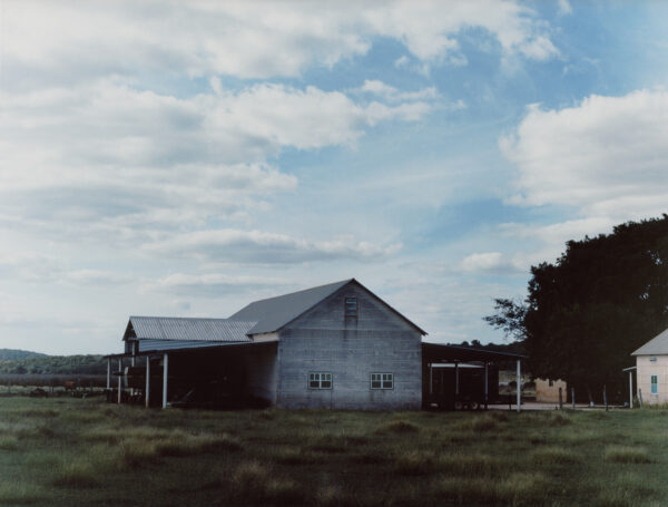  - Image 2 of 7