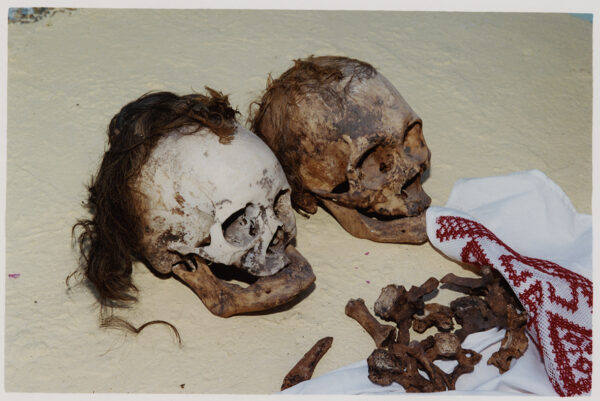  - Image 6 of 7