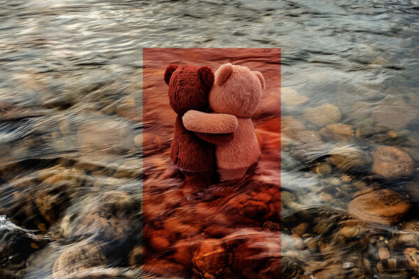  - Image 6 of 8