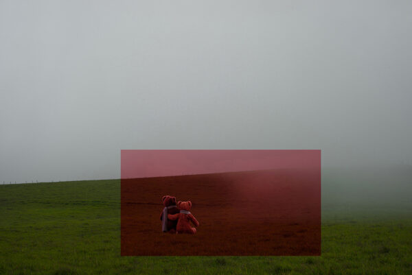  - Image 7 of 8