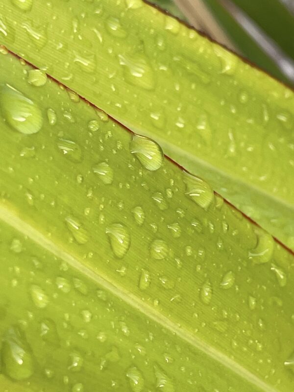  - Image 3 of 7