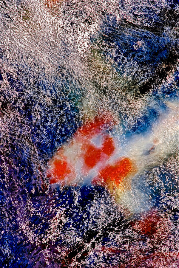  - Image 8 of 8