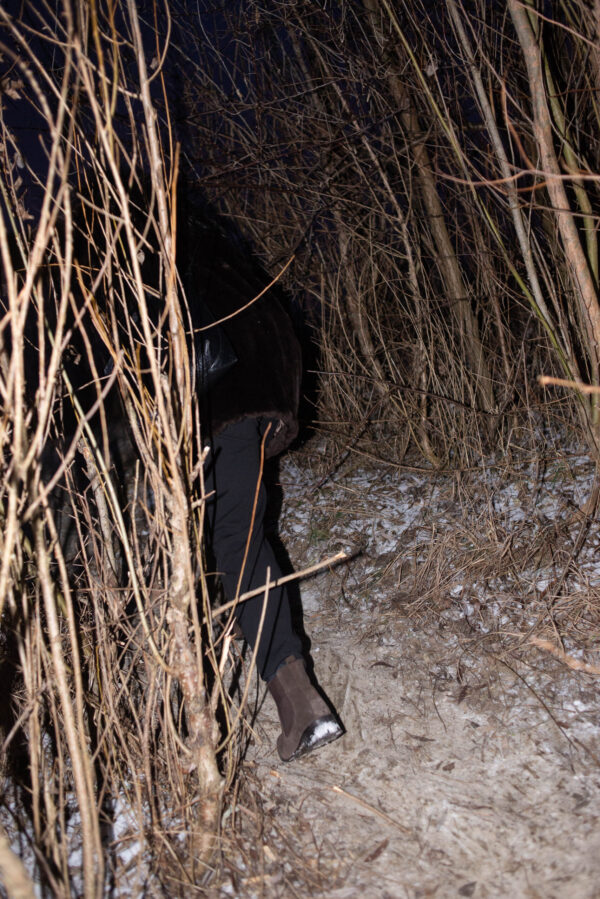  - Image 4 of 8