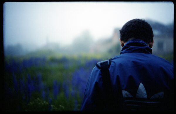  - Image 2 of 8