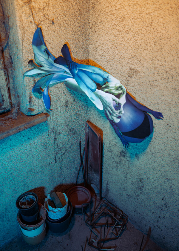  - Image 3 of 7