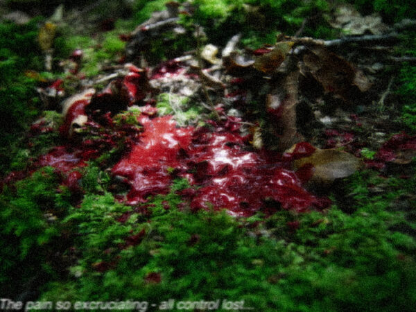  - Image 3 of 5