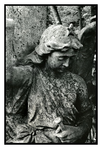  - Image 1 of 6