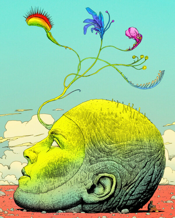  - Image 2 of 8