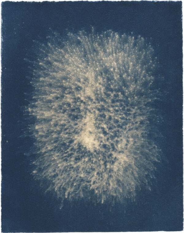  - Image 3 of 8