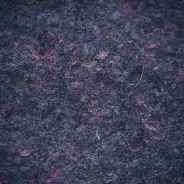  - Image 1 of 1