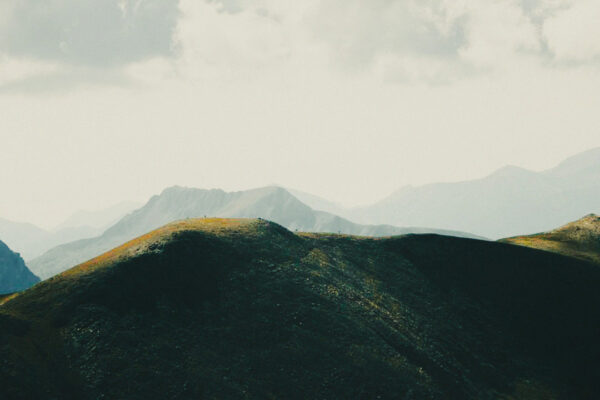  - Image 8 of 8