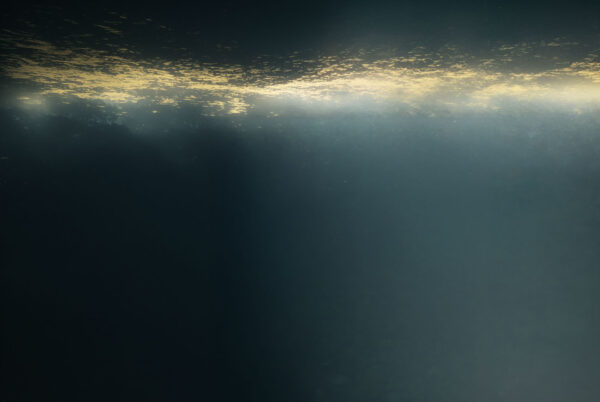  - Image 1 of 5