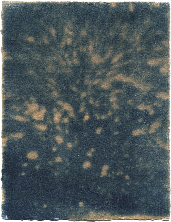  - Image 2 of 8