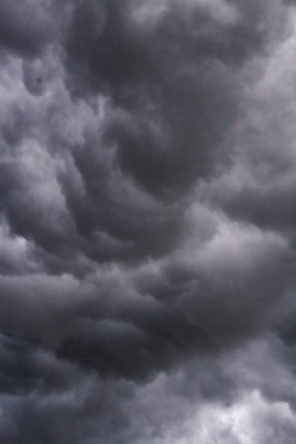  - Image 4 of 7