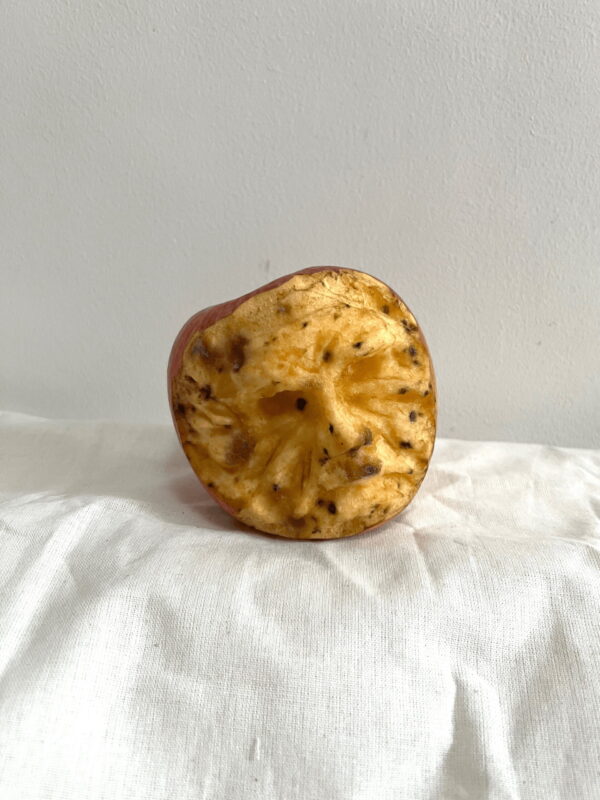  - Image 5 of 6