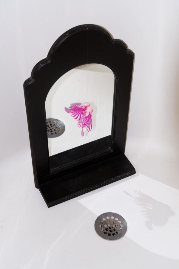 - Image 6 of 8