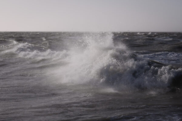  - Image 3 of 7