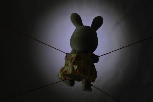  - Image 7 of 8