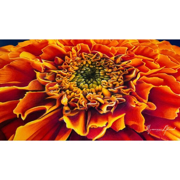  - Image 2 of 8