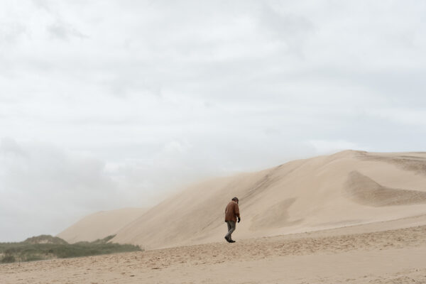  - Image 5 of 8