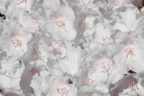  - Image 1 of 7