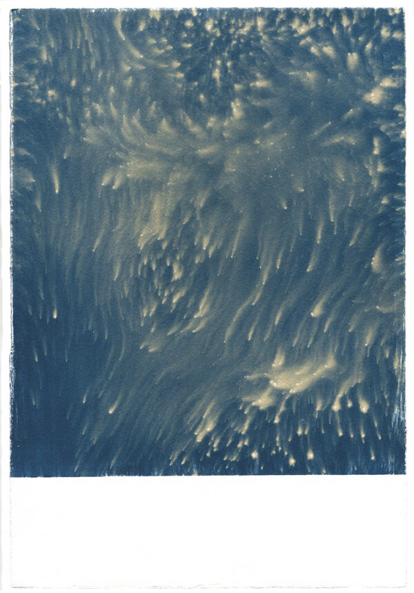  - Image 7 of 8