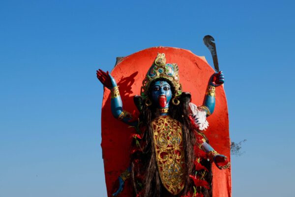  - Image 7 of 8
